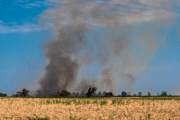 Black smoke from a fire that occurs in the sugar cane fields