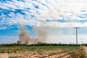 Black smoke from a fire that occurs in the sugar cane fields