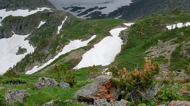 Altai mountain landscape with bushes of cedar elfin on foreground.