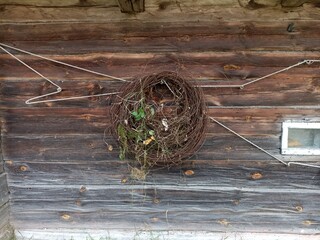 A wreath of rusty wire with green plants hanging on an old wooden wall