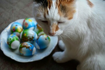 cat with Easter eggs
