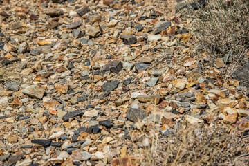 Rocky slope of a mountain with stones and grass