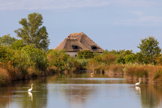 Casoni, tipologia  di capanna caratteristica del Friuli Venezia Giulia conservata in modo fedele alla tradizione. Riserva naturale della valle del Canal Novo, foce del fiume Stella, laguna di Marano.