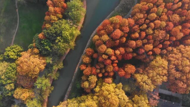 China Hubei Wuhan Liberation Park autumn aerial photography scenery