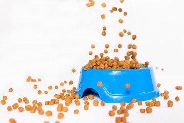 Dry food for kittens and cats pours into a blue plate. on white with space for text. Balanced food,...