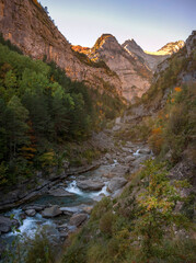 landscape autumn forest