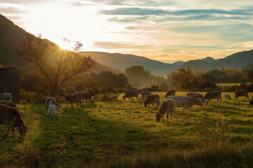 fall landscape autumn