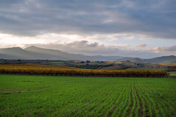 Fototapeta premium sunset landscape campe