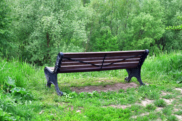 Empty park bench with trees in summer, Russia