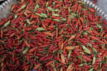 red hot chili peppers