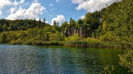 Fototapeta na wymiar Forest with lake and waterfall 
