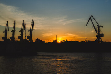 cranes at sunset