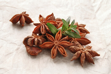 Chinese star anise, badian on the paper background