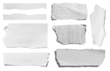 Obraz premium Collection of torn paper isolated on white background.