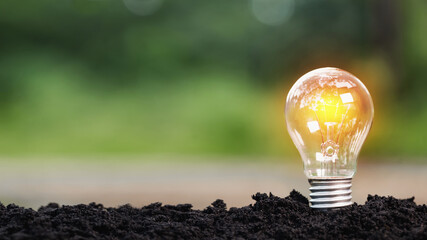 Light bulbs and copy space for business accounting and creativity
environmental concept