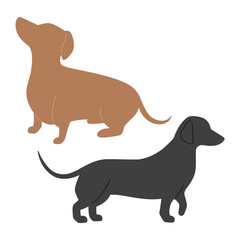 Dachshund dog breed silhouette. Vector hand drawn flat illustration