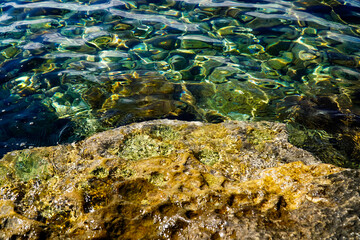 Rib on clear sea water, rocky seabed with rocks, Adriatic Sea