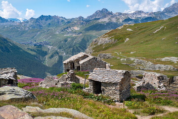 Fototapeta na wymiar Mountain landscape with a ruin of an old house, flowers and glaciers