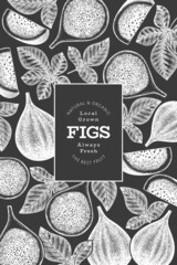 Hand drawn fig fruits design template. Organic fresh food vector illustration on chalk board. Retro fig fruit banner.