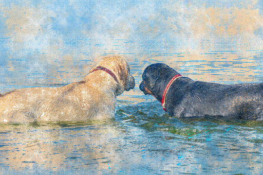 Black and white dogs standing nose to nose in the water. A female Rottweiler and a cream-colored male Labrador. Pets. Digital watercolor painting.