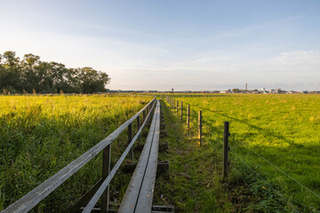Beautiful view of long wooden pathway through green field merging with blue sky. Sweden. 