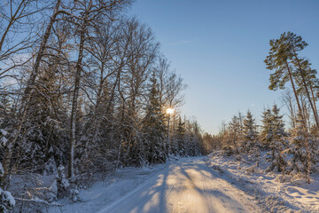 Gorgeous colorful view of sunset on  road in snow forest. Beautiful nature winter background. Sweden.