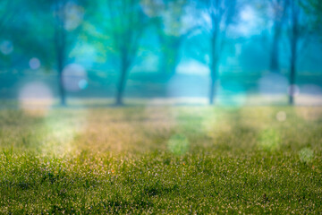 Obraz na płótnie Canvas Abstract natural background, trees in the early morning with beautiful fantastic bokeh