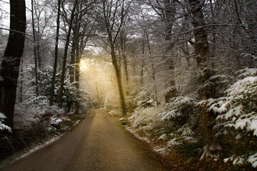 Obraz premium road in the winter