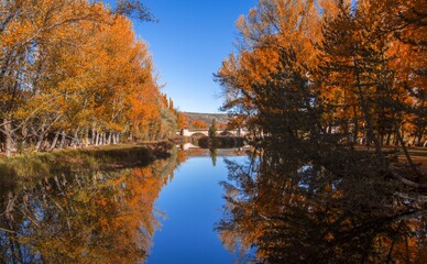 autumn trees reflected in water