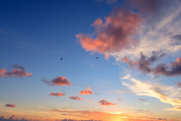Beautiful colored cloudy evening sky.  Abstract sky background.