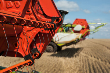 close up of reaping aggregate at harvest while harvesting wheat field.