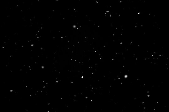 Snow falling on black background