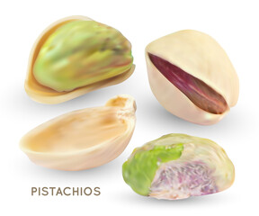 Vector pistache nuts without shell. Realistic 3d kernel. Green pistachio isolated on white background. 3d snack illustration.