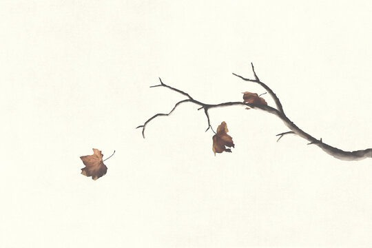 illustration of leaves falling in autumn, abstract concept