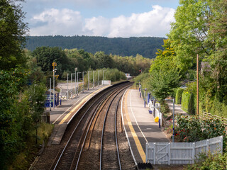 railway in the forest
