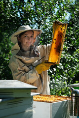 Young female beekeeper hold wooden frame with honeycomb. Collect honey. Beekeeper on apiary....