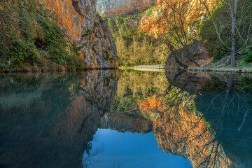 reflections in the water