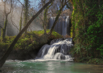 waterfall in the forest