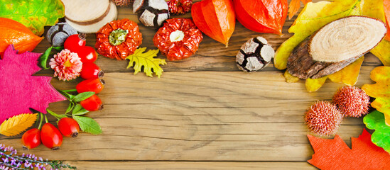 Bunte Dekoration im Herbst mit Blumen und Pflanzen auf Holz