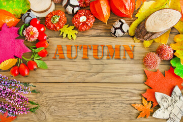 Colorful various natural Autumn decorations on wooden background