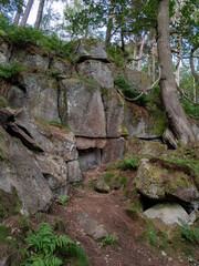 The landscape of a forest  surrounded by a lot of greenery and rocks in the park