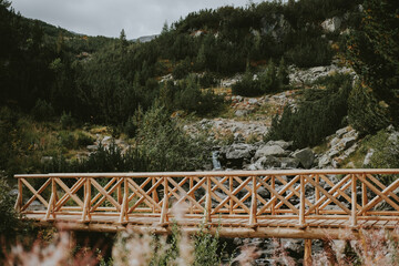 wooden bridge in the mountains