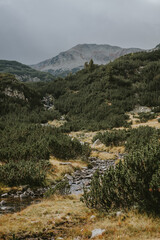 river in the mountains