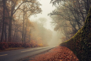 Templeton Woods Dundee Scotland