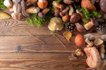 A variety of fresh forest mushrooms on a wooden background. top view, copy space. Autumn concept. Mushroom frame.