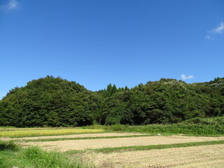 Fototapeta na wymiar 初秋の農村風景