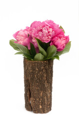 Bouquet of pink peonies isolated on the white background in wooden vase