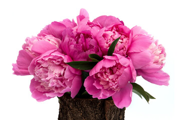 Bouquet of pink peonies isolated on the white background