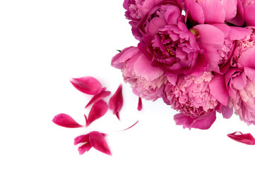 Bouquet of pink peonies isolated on the white background