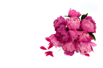 Bouquet of pink peonies isolated on the white background